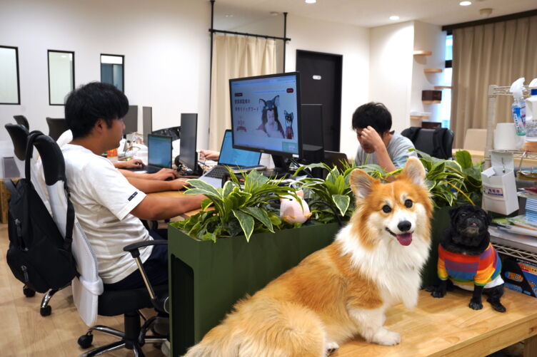 株式会社バイオフィリアのオフィス風景