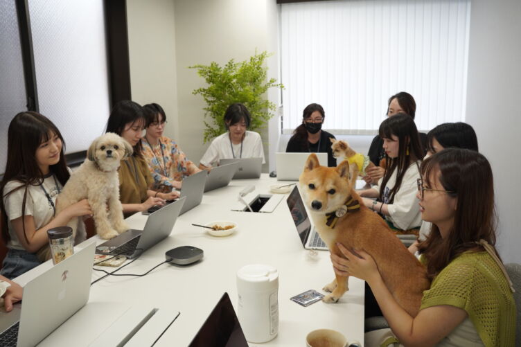 株式会社バイオフィリアのミーティング風景