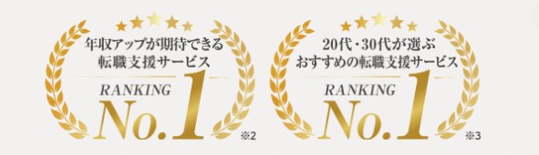 キャリドラでNo.1を獲得した実績