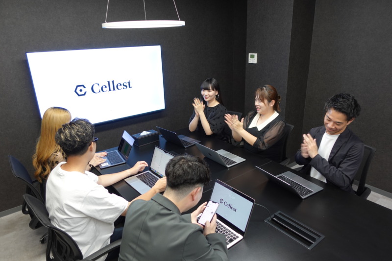 株式会社Cellestの仕事風景