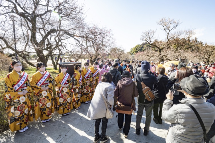 水戸市の偕楽園で行われる梅まつりの様子