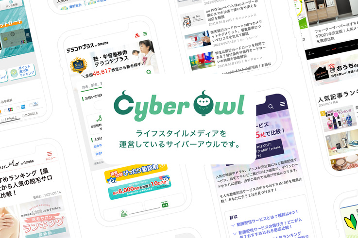 株式会社CyberOwlの事業イメージ写真