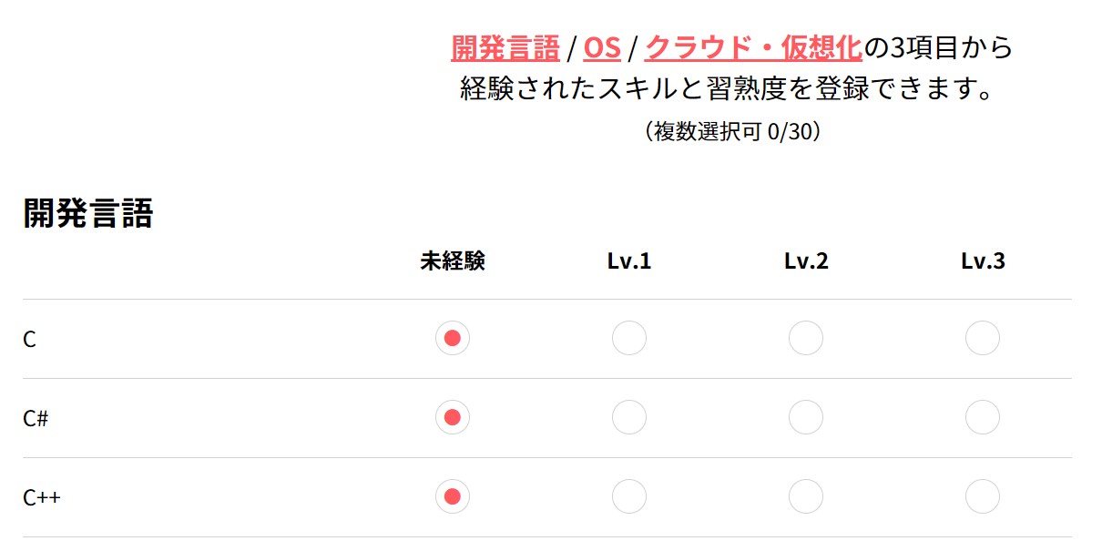 プロフィール・職務経歴書入力画面