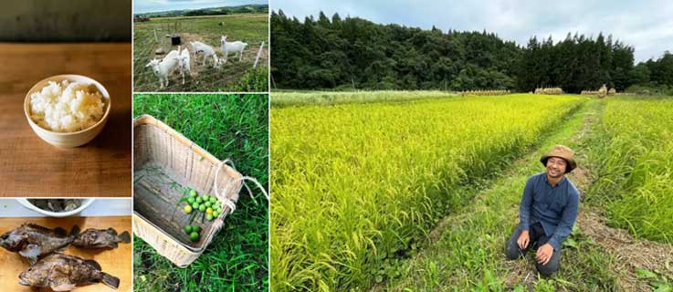 家いちばで取り扱う物件の購入後の様子と買主さん