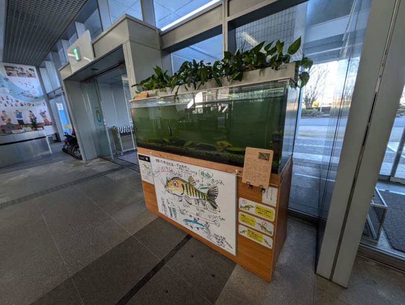 亀岡市役所のエントランスに設置されている水槽