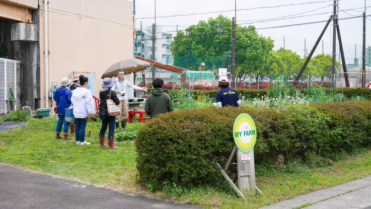 株式会社マイファームの体験農園の講習会の様子