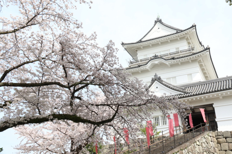 市に新たな風を吹かせる、小田原市役所の若手・女性活躍の秘訣