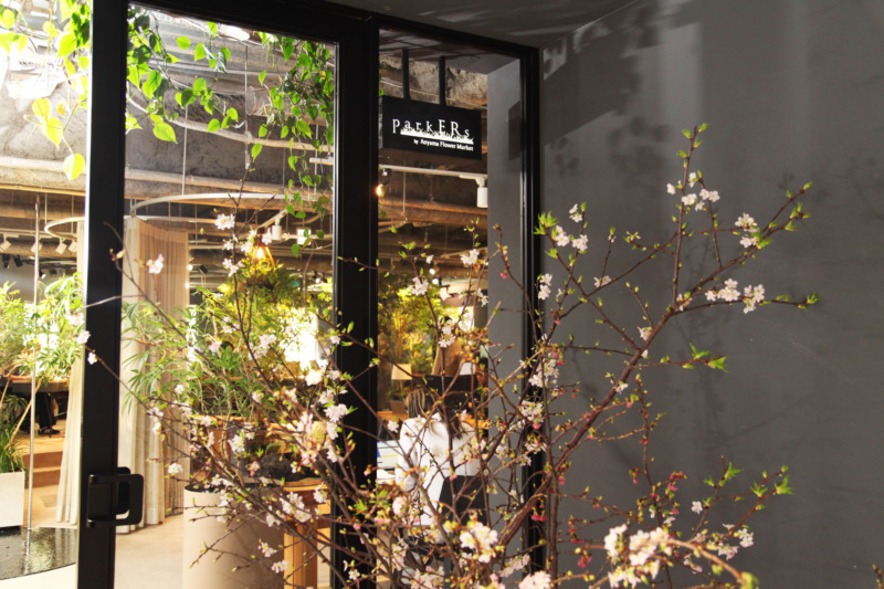 parkERsのロゴと花木
