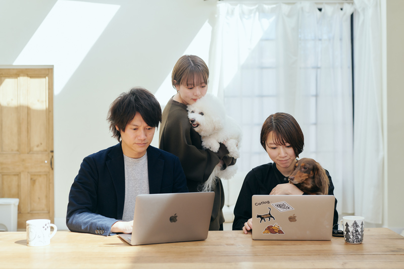 株式会社PETOKOTOのオフィス内風景