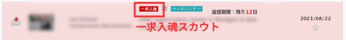 リクルートダイレクトスカウトの一求入魂スカウト