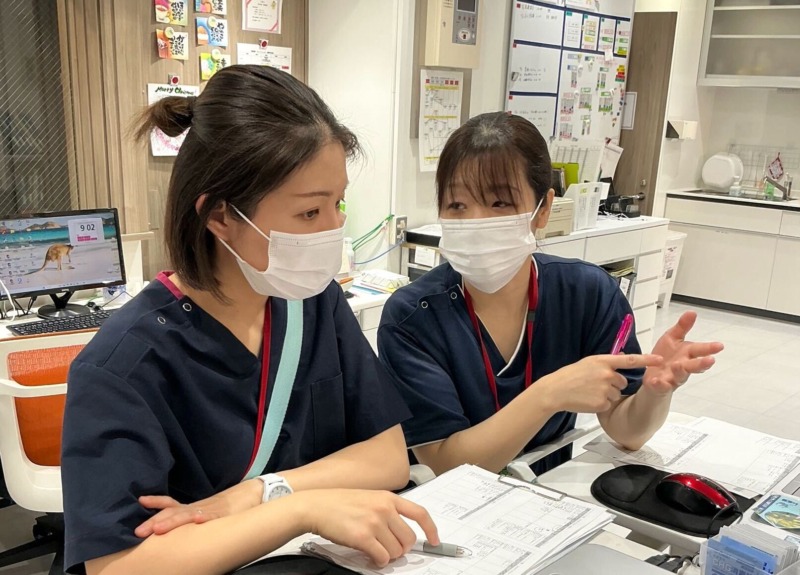 医療法人社団喜峰会 東海記念病院の看護師の勤務風景