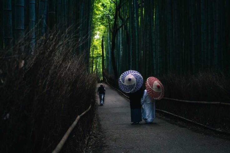 xID株式会社の細井さんが過去に拠点としていた京都に関連した嵐山の写真